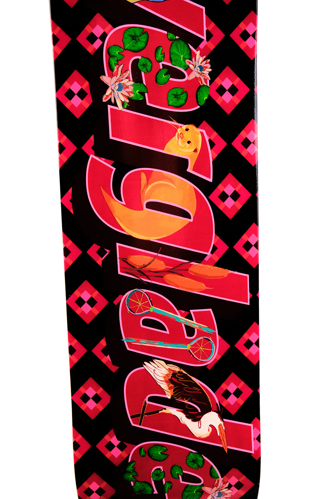 Everglades skate deck